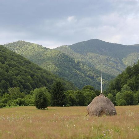 Pietroasa Roua - Apuseni Mountains别墅 外观 照片