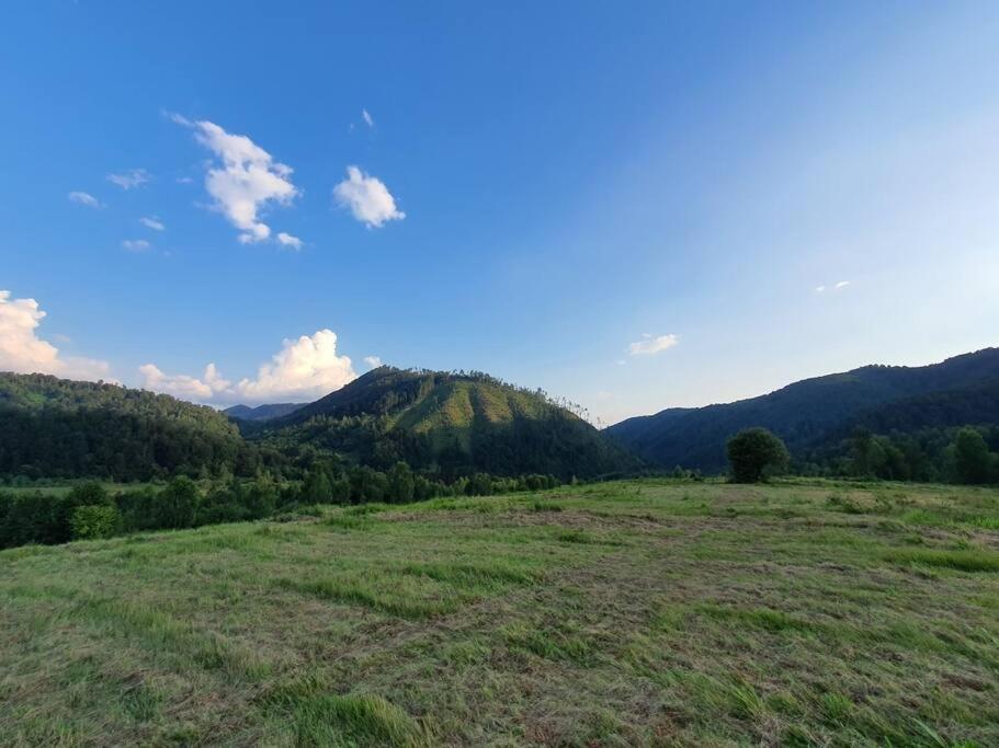 Pietroasa Roua - Apuseni Mountains别墅 外观 照片